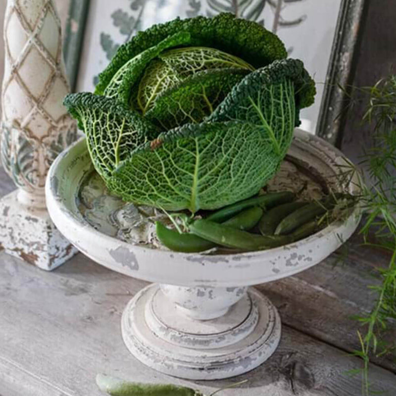 BLANC MARICLÒ Alzatina in Legno Intarsiato "LANTIQUARIO"