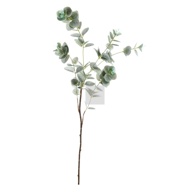 BLANC MARICLÒ Eucalipto Verde Pianta Artificiale