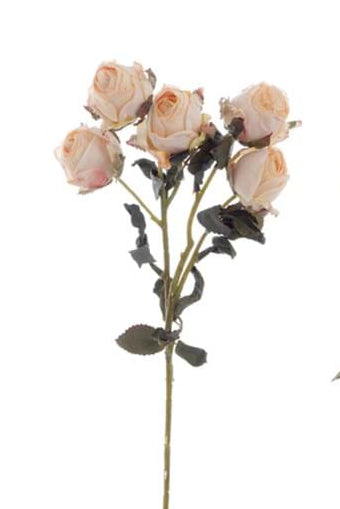 BLANC MARICLÒ Rose Arificiali "FLORILEGIO"