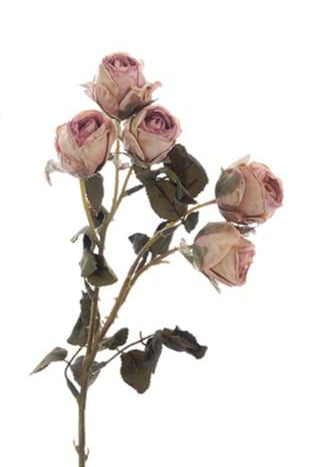BLANC MARICLÒ Rose Arificiali "FLORILEGIO"