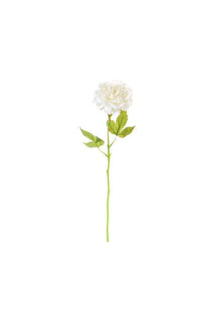 NUVOLE DI STOFFA Peonia Bianca con Foglie