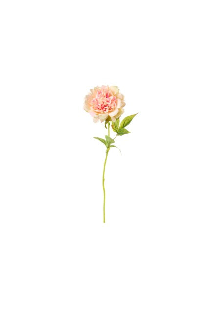 NUVOLE DI STOFFA Peonia Crema e Rosa con Foglie