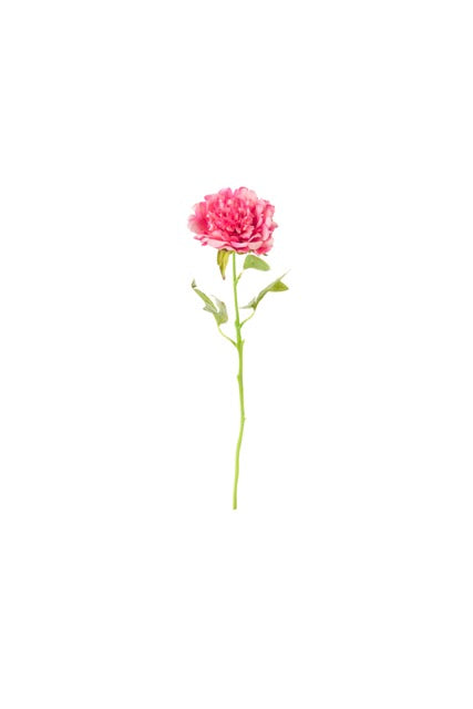 NUVOLE DI STOFFA Peonia Fucsia e Rosa con Foglie
