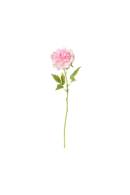 NUVOLE DI STOFFA Peonia Rosa con Foglie