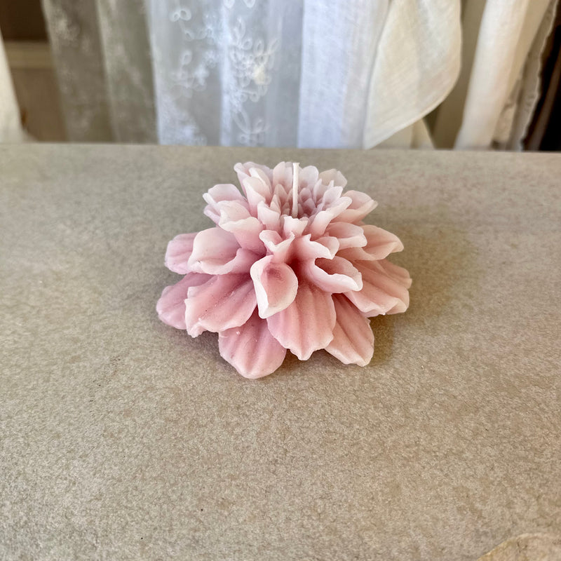 CERERIA PARMA Candela Profumata Dalia Petali Rosa