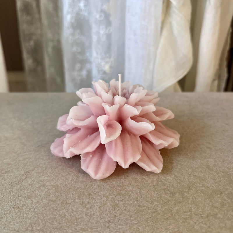 CERERIA PARMA Candela Profumata Dalia Petali Rosa