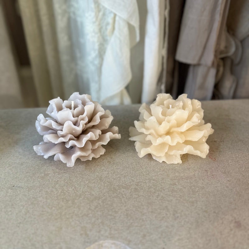 CERERIA PARMA Candela Profumata Camelia