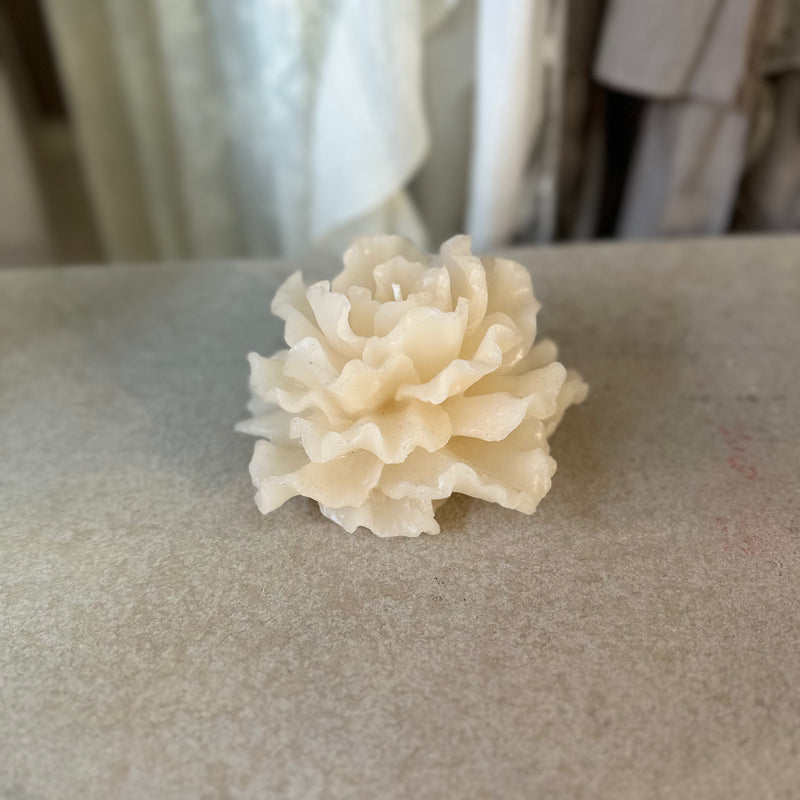 CERERIA PARMA Candela Profumata Camelia