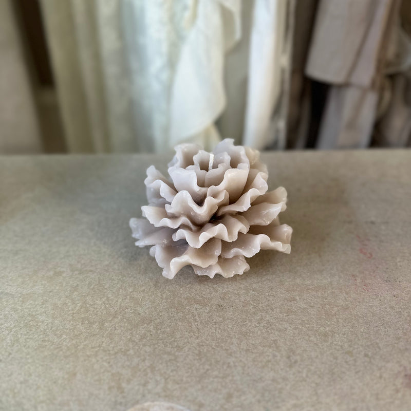 CERERIA PARMA Candela Profumata Camelia