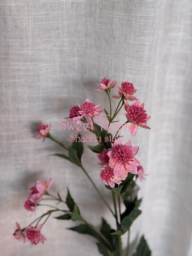 FIORI DI LENA  Stelo con Fiori di Astrania Rosa