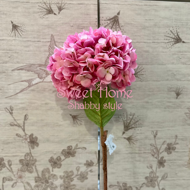 FIORI DI LENA Ortensia Gigante