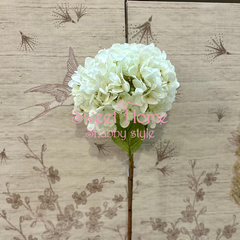 FIORI DI LENA Ortensia Gigante