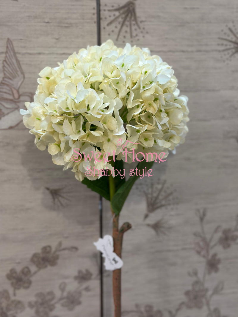 FIORI DI LENA Ortensia Avorio Gigante