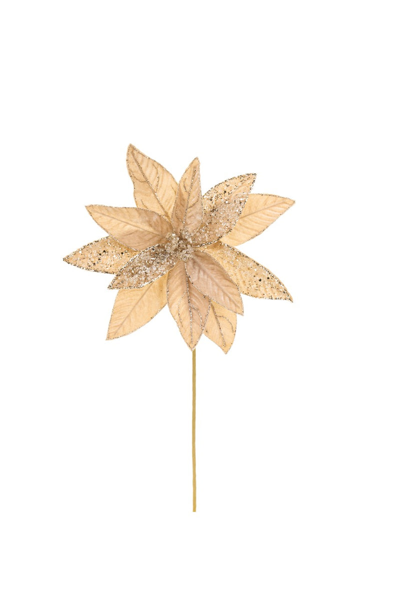 NUVOLE DI STOFFA Stella Di Natale Champagne 29 x 45 Cm