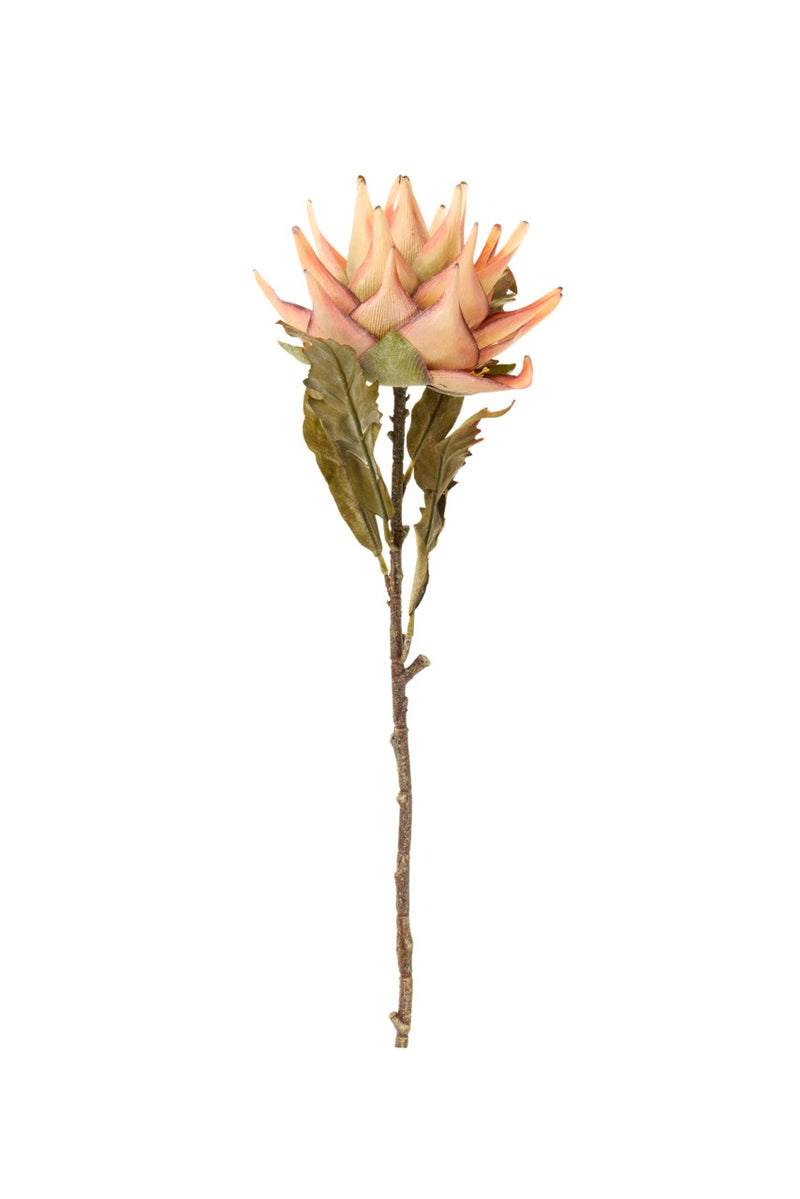 NUVOLE DI STOFFA Fiore Bromelia Salmone Chiaro