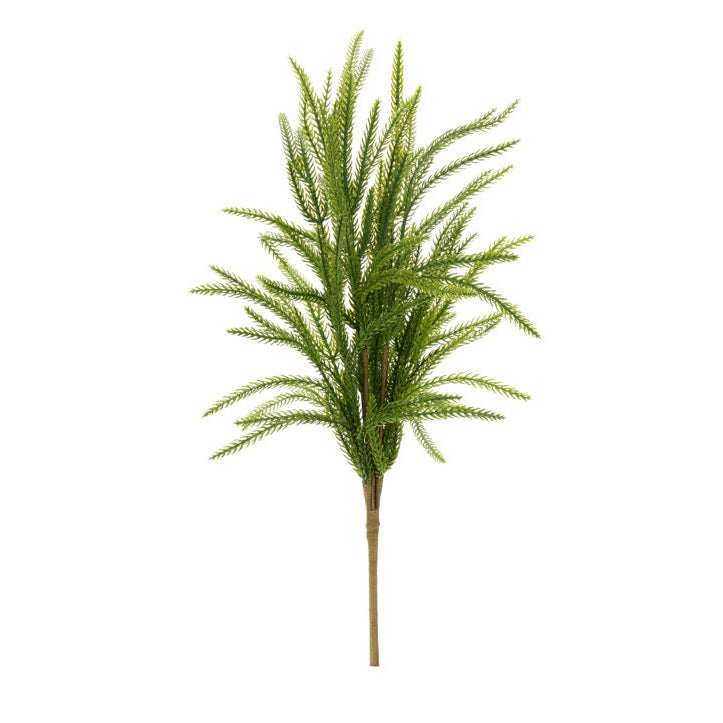 NUVOLE DI STOFFA Ramo Di Pino Norfolk Verde 60 Cm