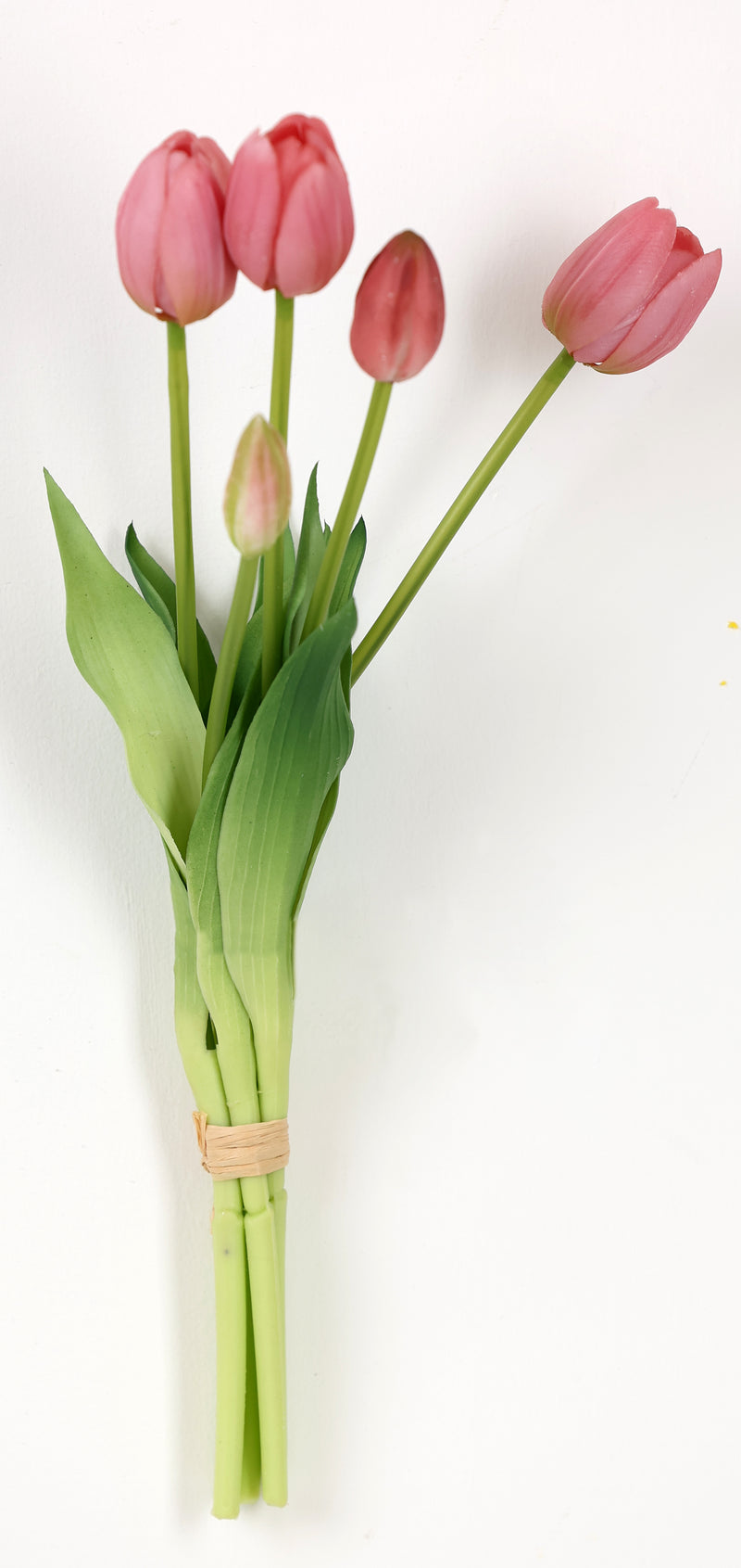 FIORI DI LENA Bush di 5 Tulipani