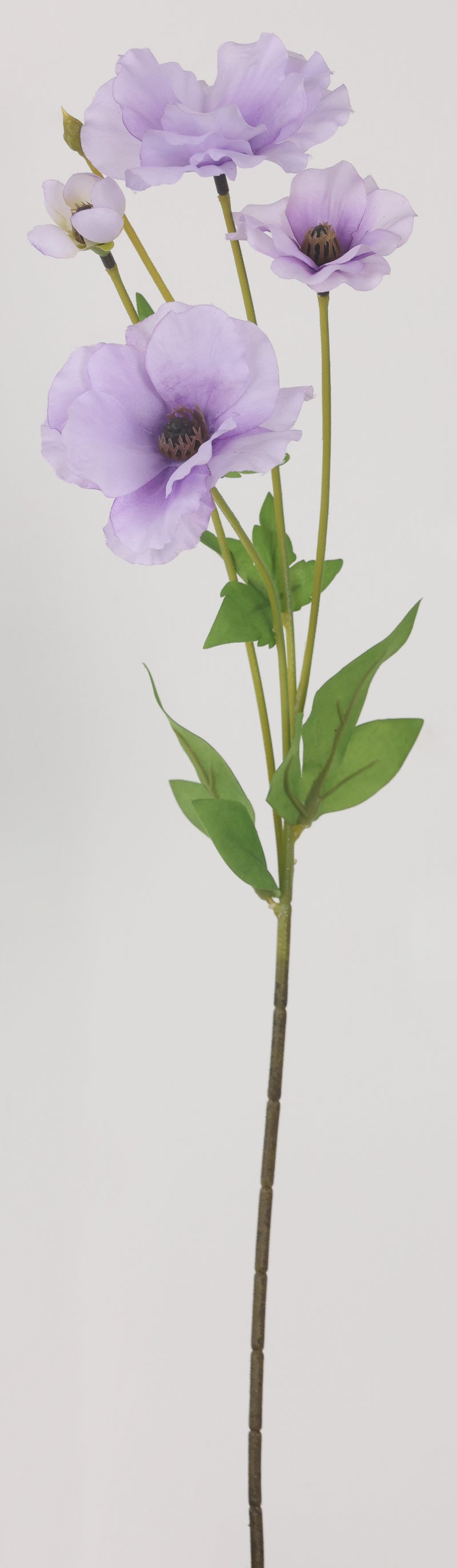 FIORI DI LENA Fiore Artificiale Papavero Blue/Purple