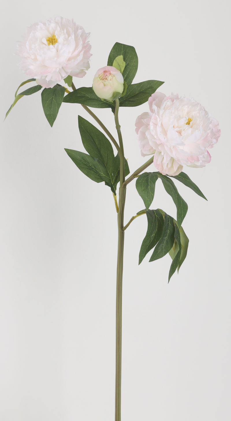 FIORI DI LENA Stelo con 2 Peonie e Bocciolo