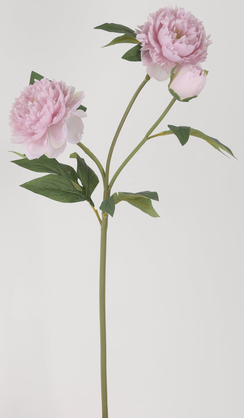 FIORI DI LENA Stelo con 2 Peonie e Bocciolo