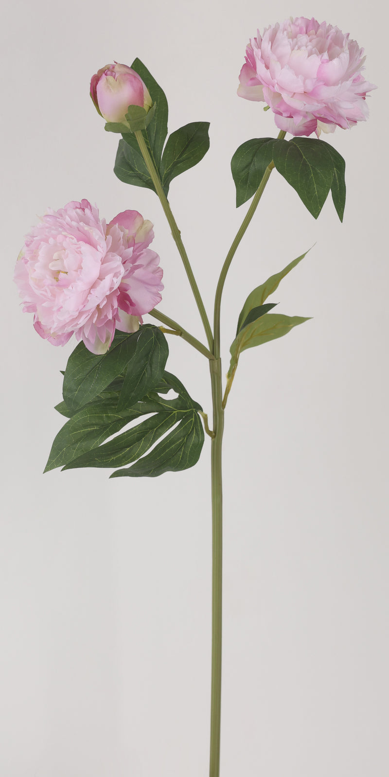 FIORI DI LENA Stelo con 2 Peonie e Bocciolo