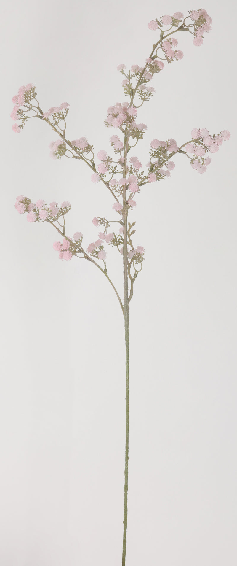 FIORI DI LENA Stelo con Fiori Gypsophilia