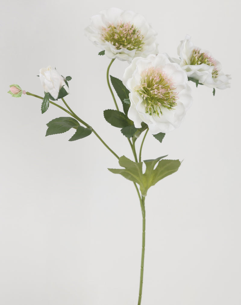 FIORI DI LENA Stelo con Fiore Lisianthus Bianco